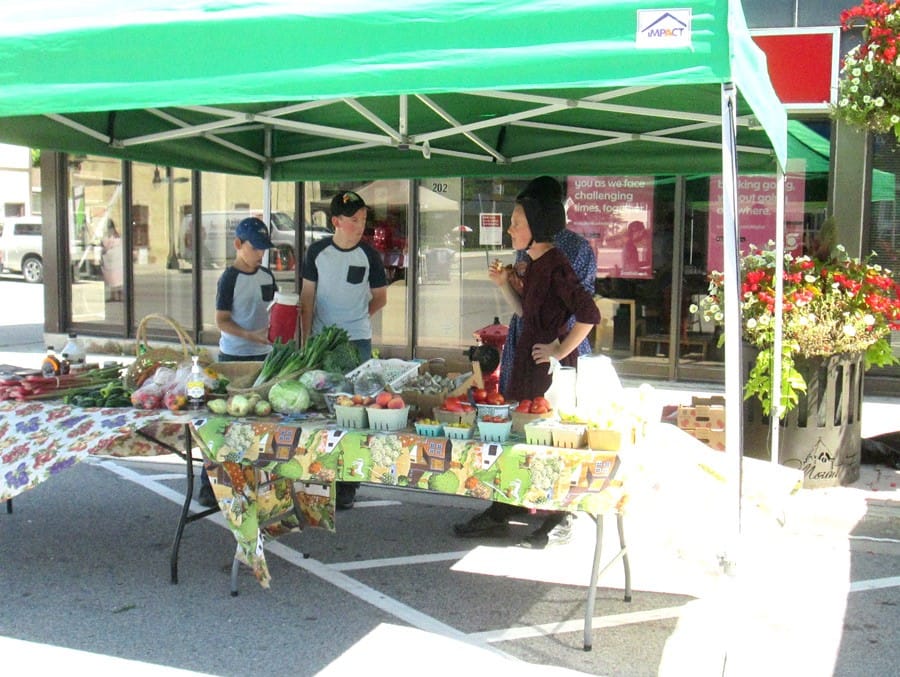 Wellington North Farmers’ Market set to open for ninth season in June