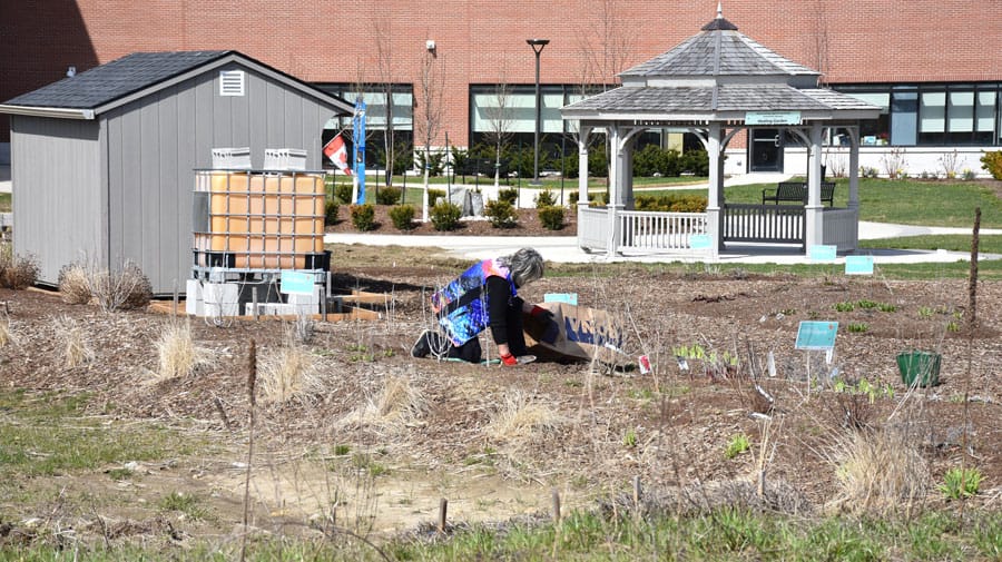 Gardens at Groves hospital taking shape