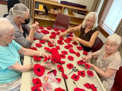 Community knitting group to bring back ‘Poppy Project’