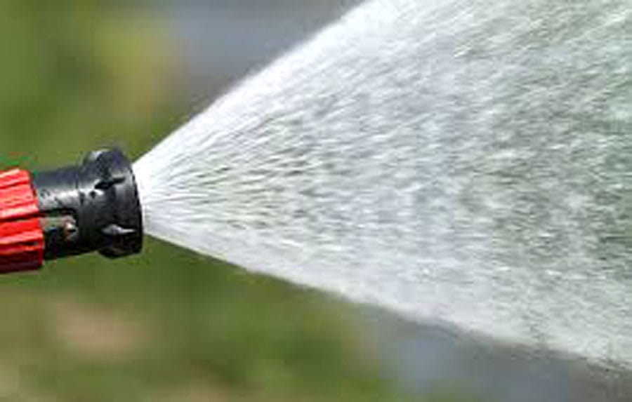 With water restrictions in effect, how can I keep my plants alive?