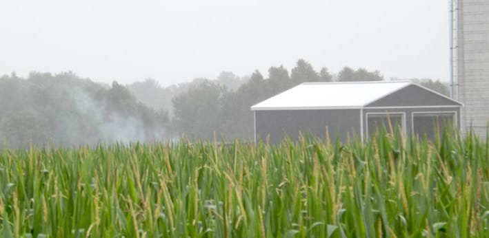 Eighty cattle lost in fire at Wellington North dairy barn