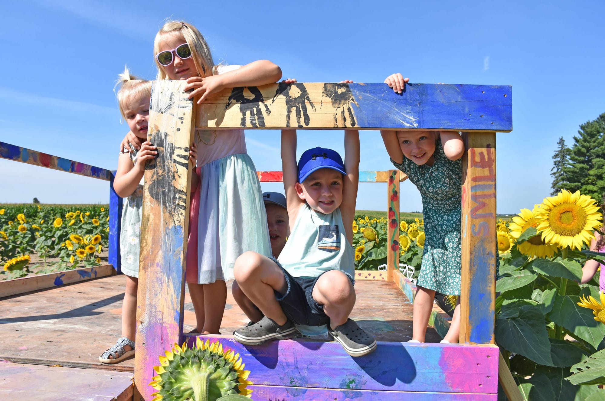 Third annual Shine Your Light Sunflower Tour/Run Raises $15,000