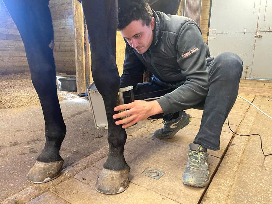 New technology offers unprecedented insight into health of equine tendons