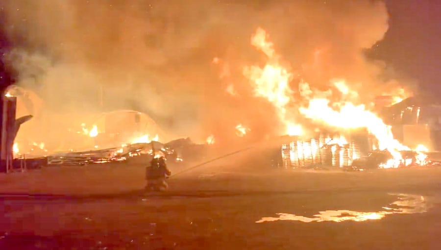 Three horses, 13 dogs perish in Perth East barn fire