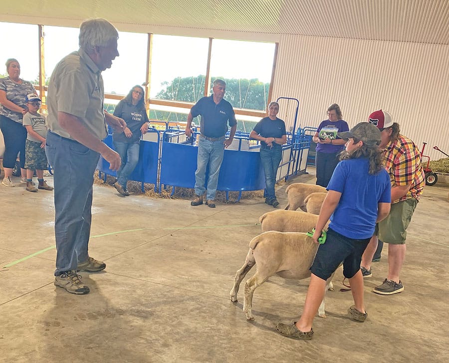 Floradale 4H Sheep Club members learn about showing livestock