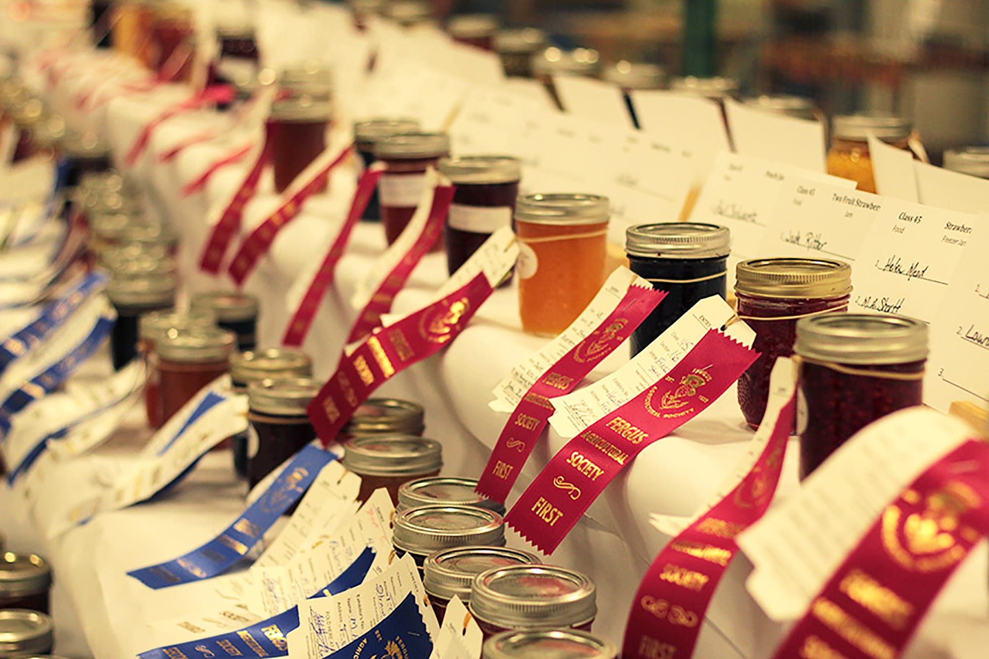 OAAS offering courses for prospective fall fair judges