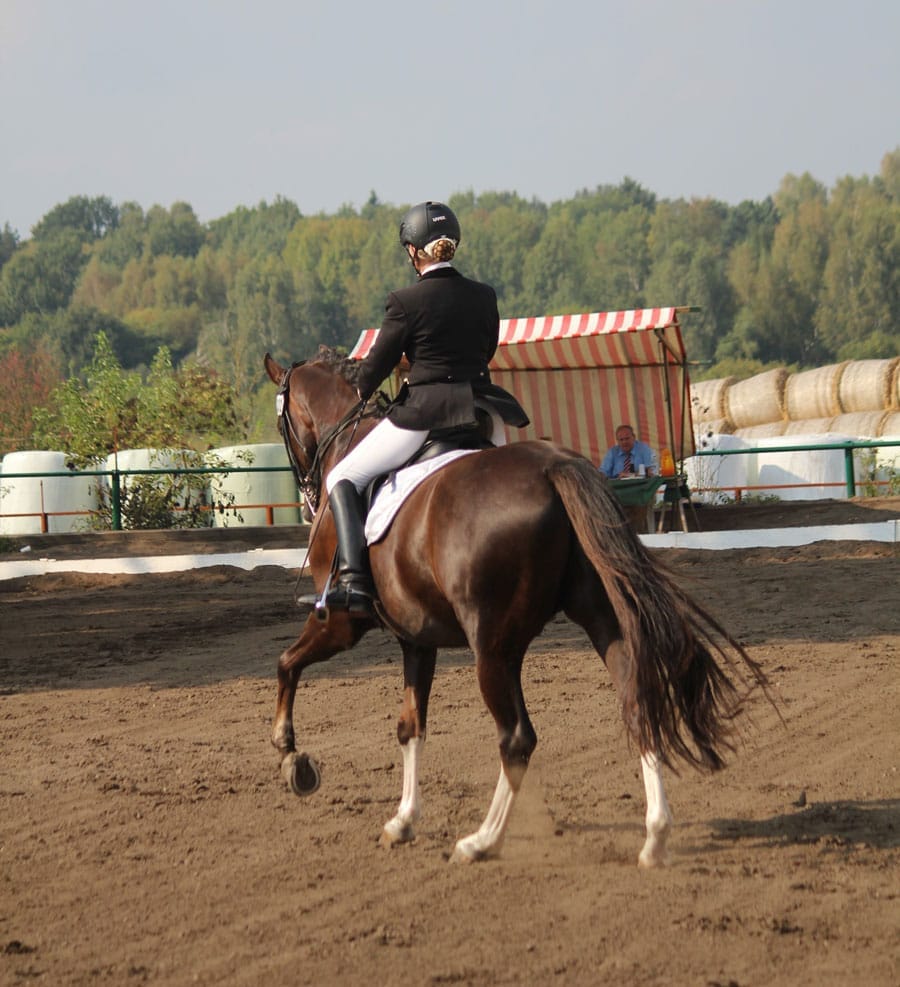 Equine Guelph offering  online training for grassroots-level horse show judging
