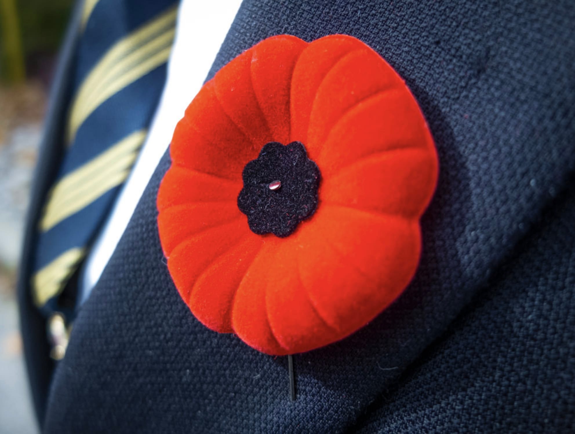 The iconic poppy pin is proudly worn in remembrance.
