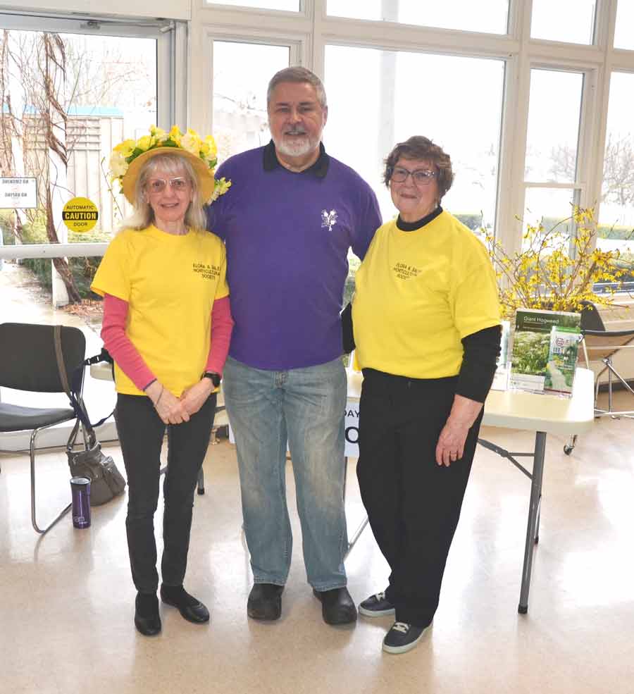 Seedy Saturday: sew much for so little