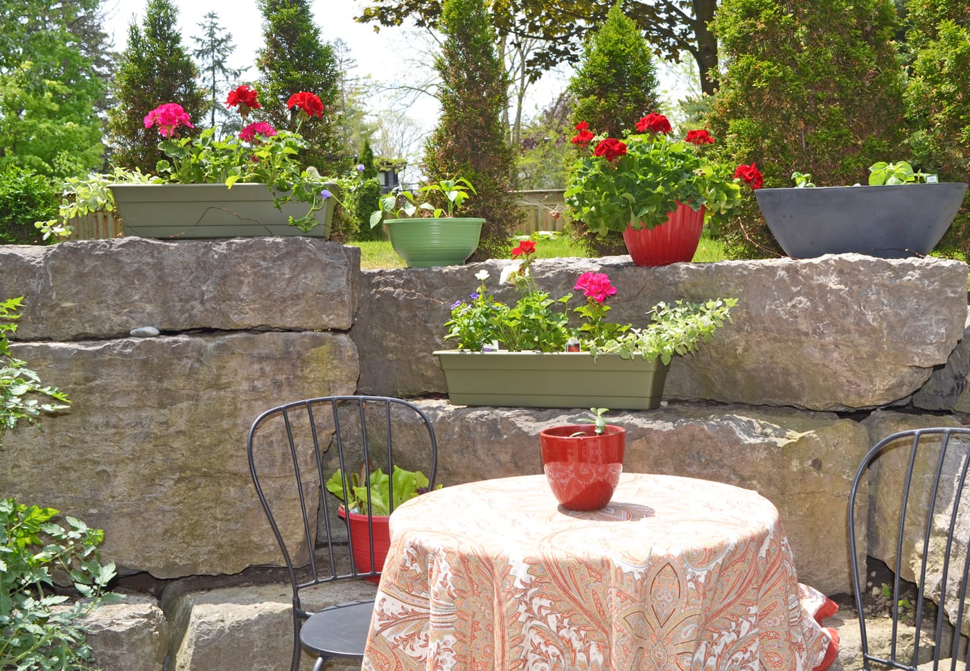 Tips for the novice gardener