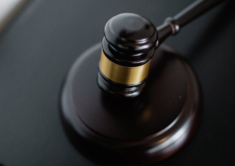 Wellington North man fined, on probation for livestock bylaw offences