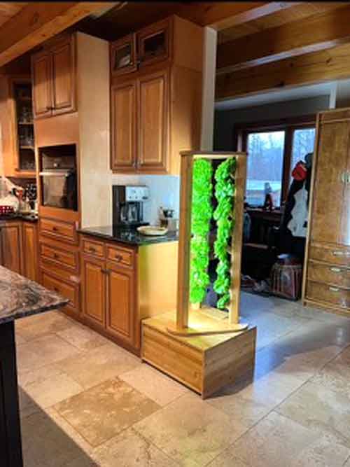 Grow vegetables out of thin air?