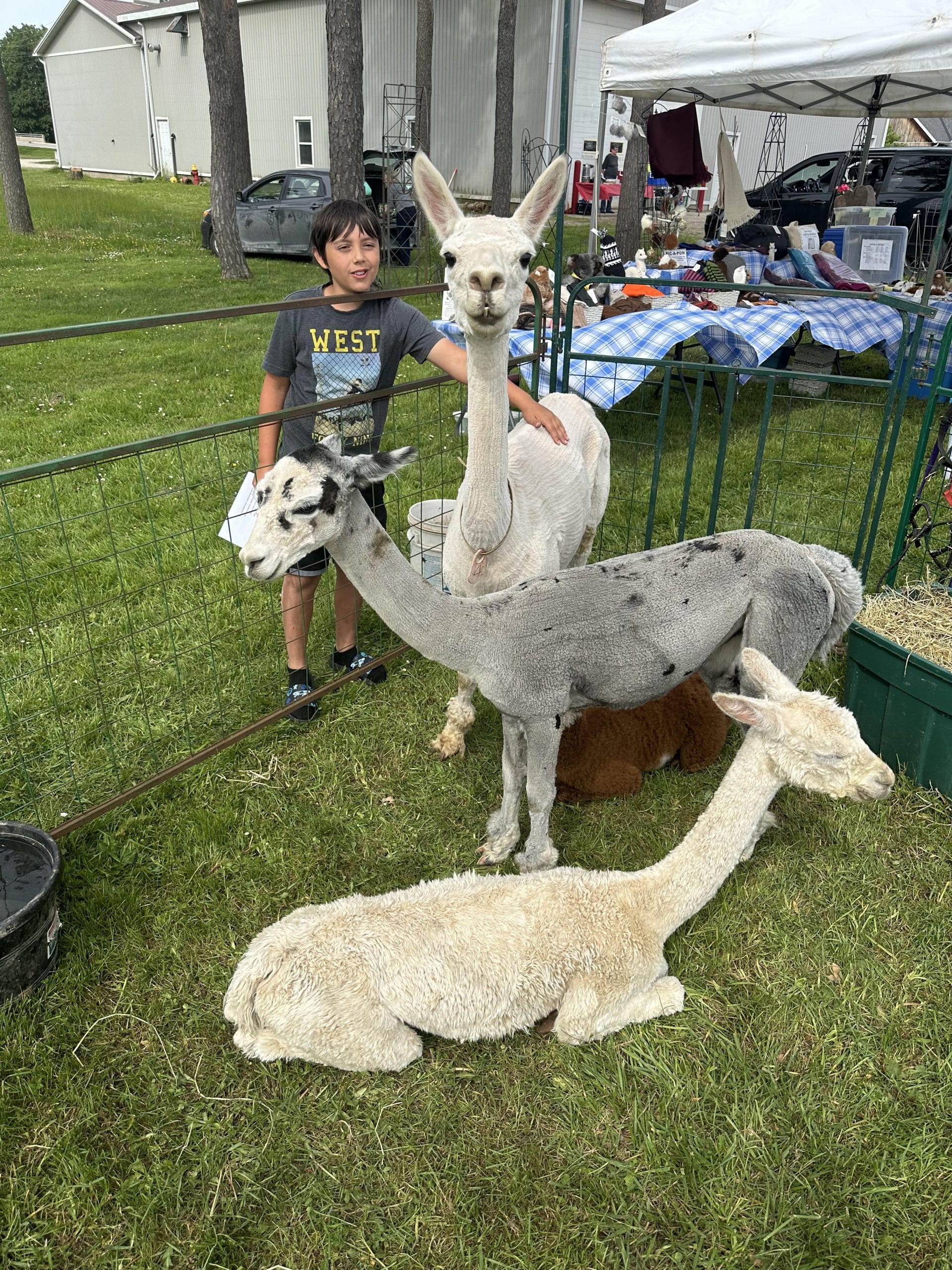 Harriston's annual garden festival had some furry friends
