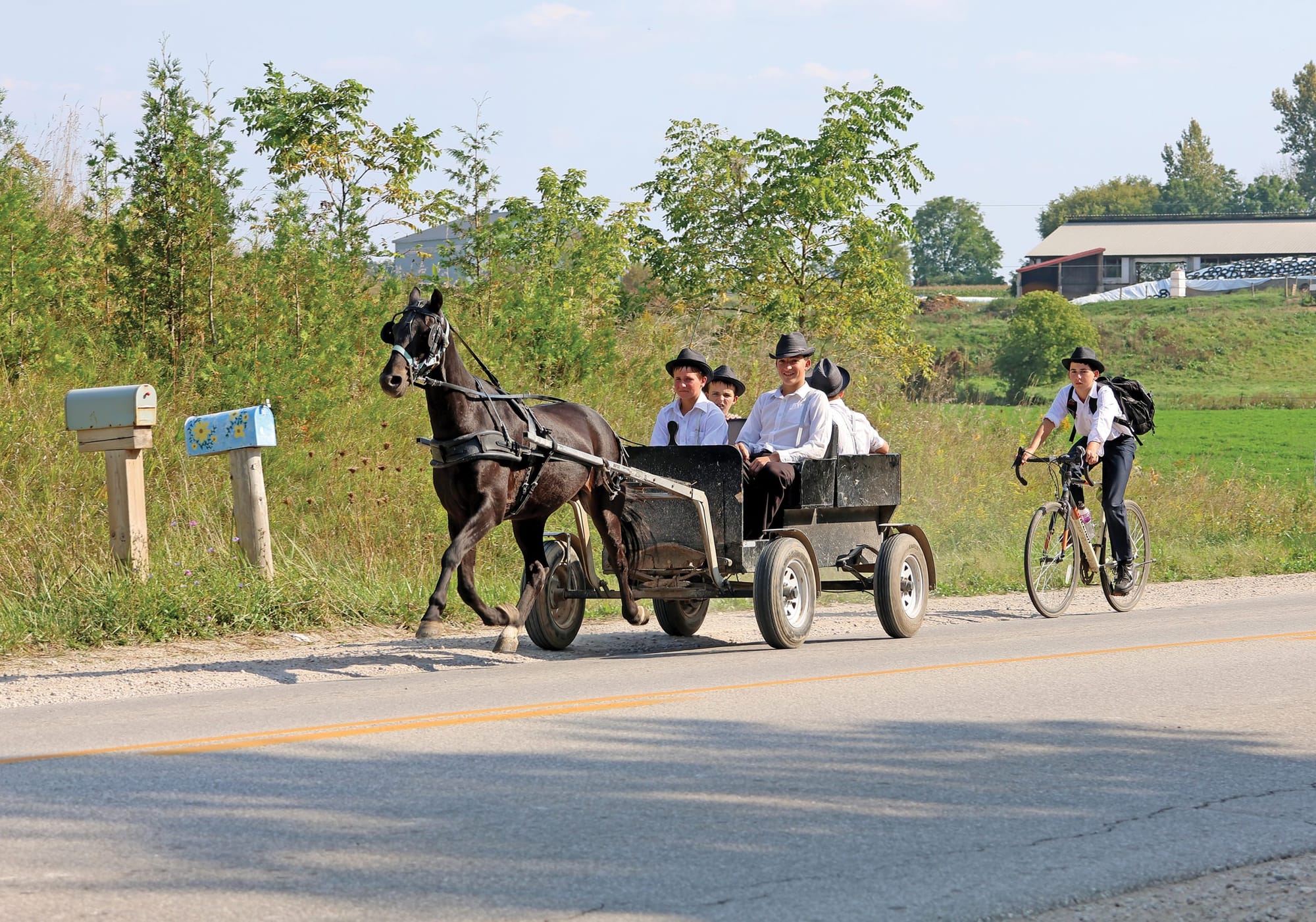 Motorists and equestrians can take measures to increase safety while sharing the road