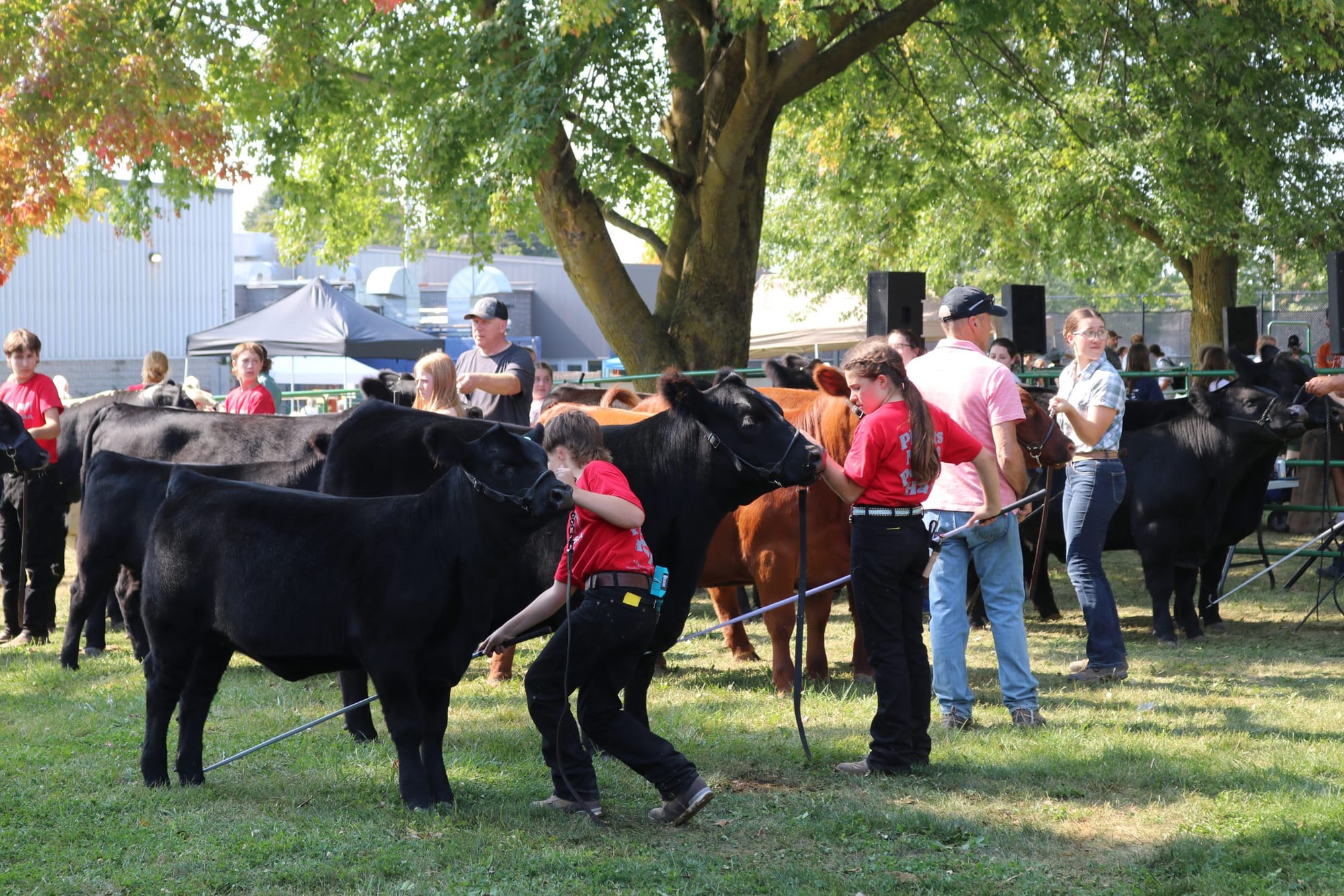 The 187th Fergus Fall Fair delivers entertainment, thrills