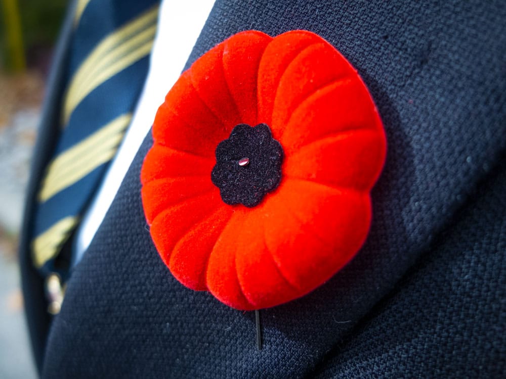 The historical significance behind the poppy