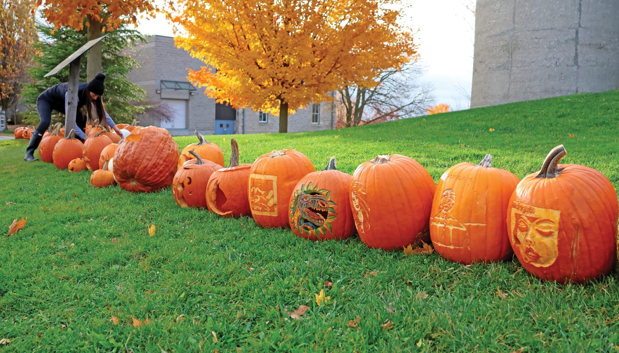 Jack o’ lanterns get one last chance to shine at Pumpkin Walk