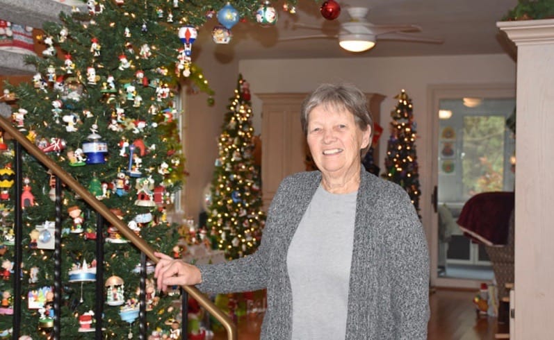 Christmas Wonderland Home Tour to benefit Fergus Curling Club