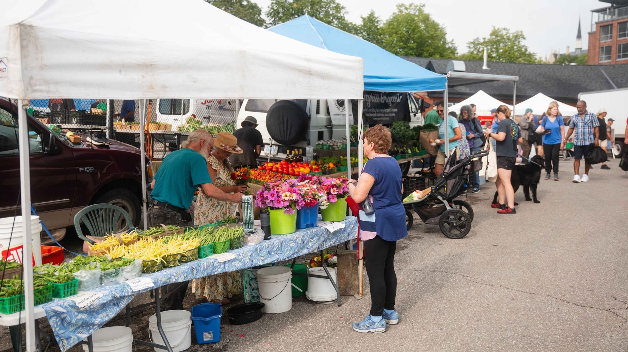 OFA welcomes funding for Cultivating Local project