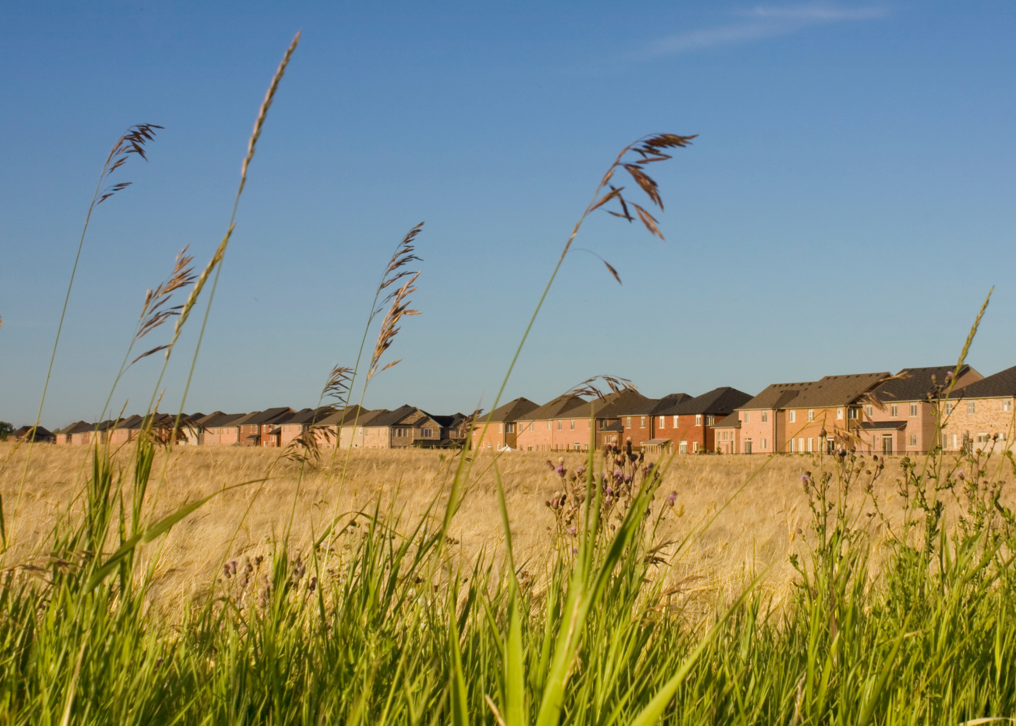 OPINION: Farmland preservation is not just an Ontario priority