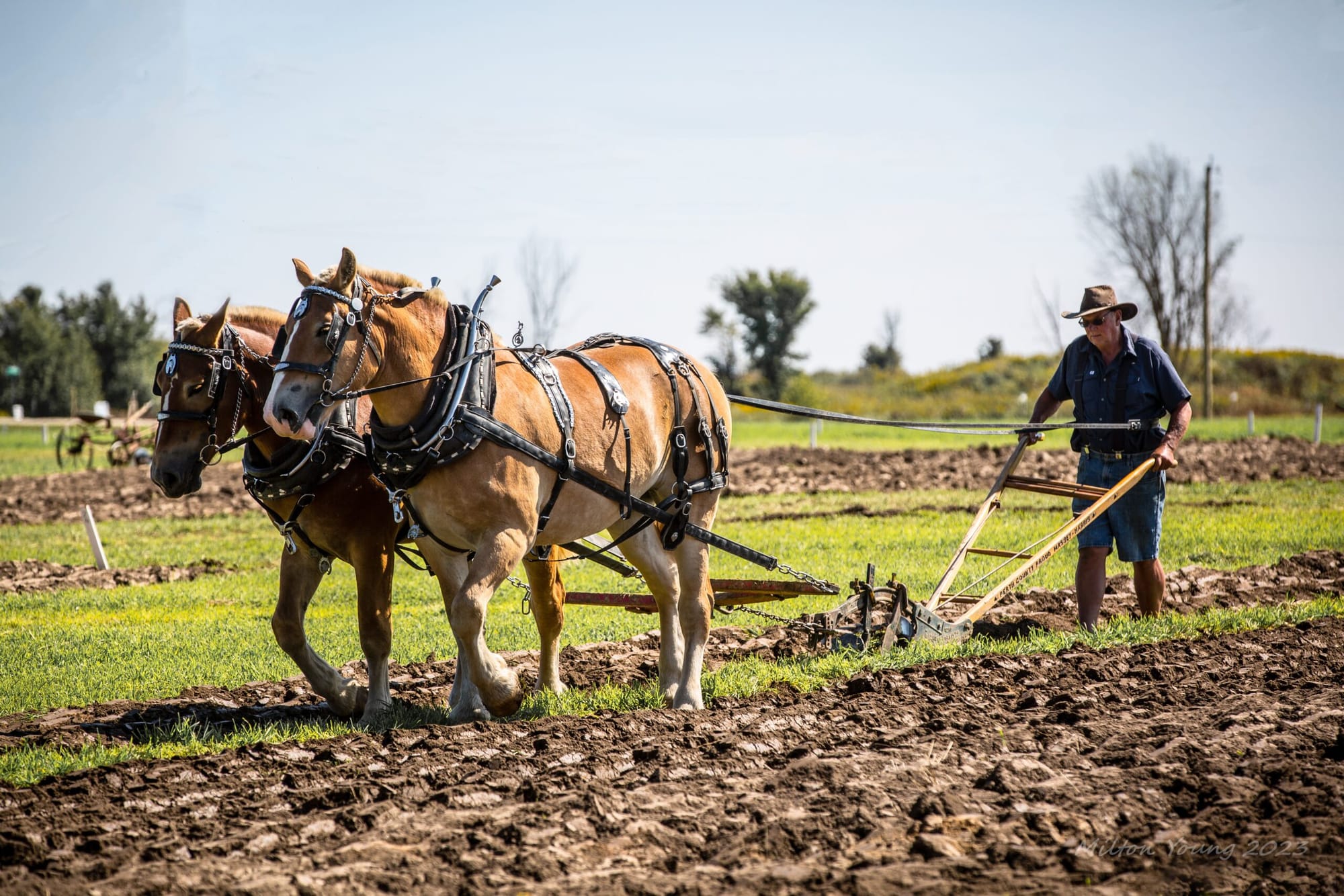 International Plowing Match and Rural Expo heads to Niagara region