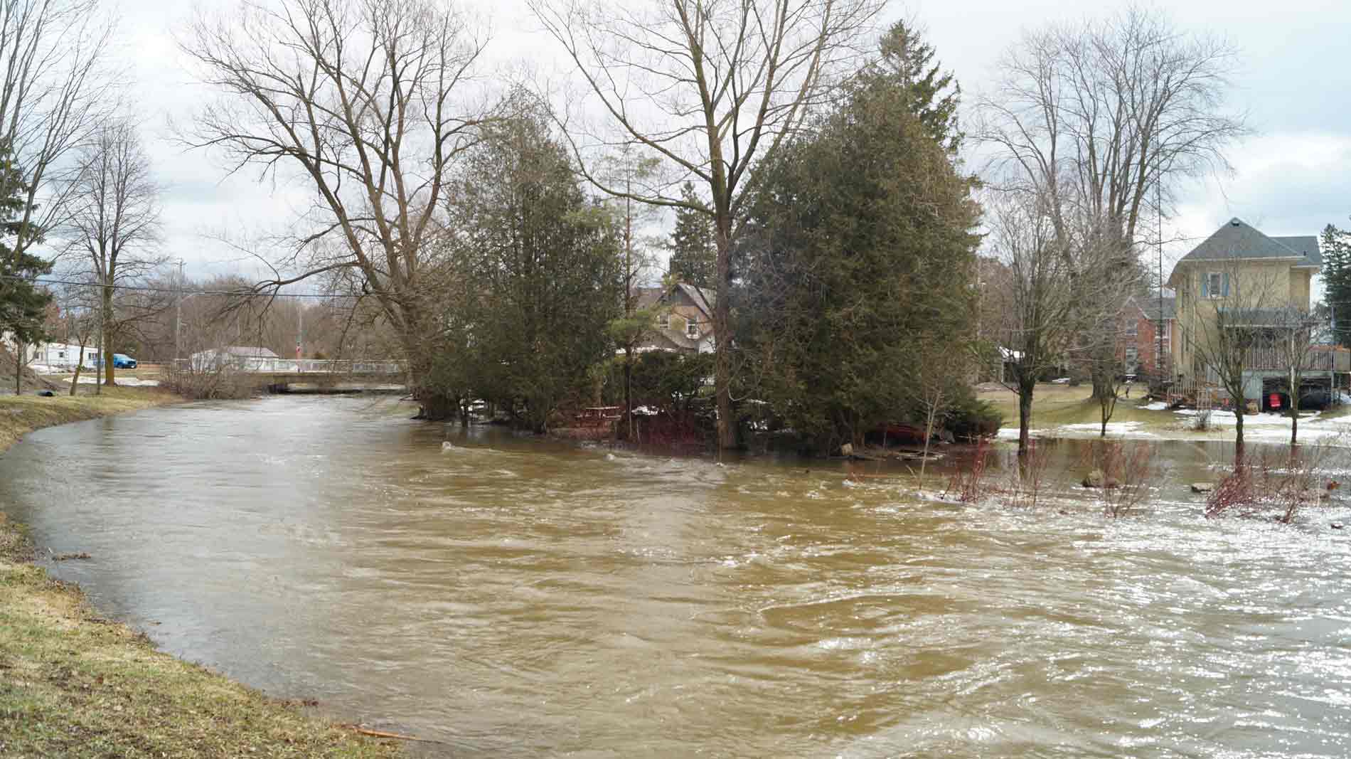 Significant flooding in Harriston