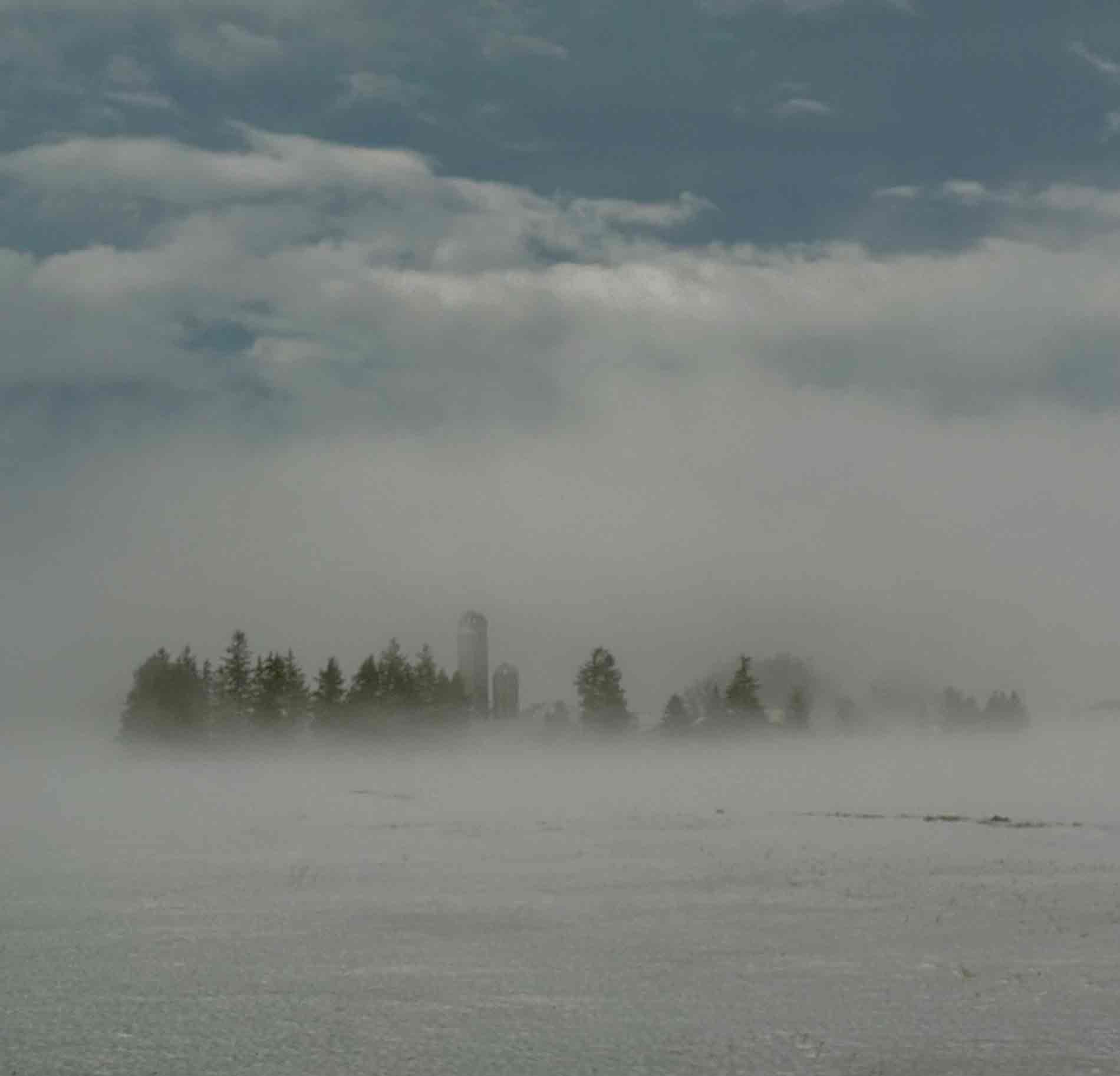 Mapleton farm engulfed in evening mist