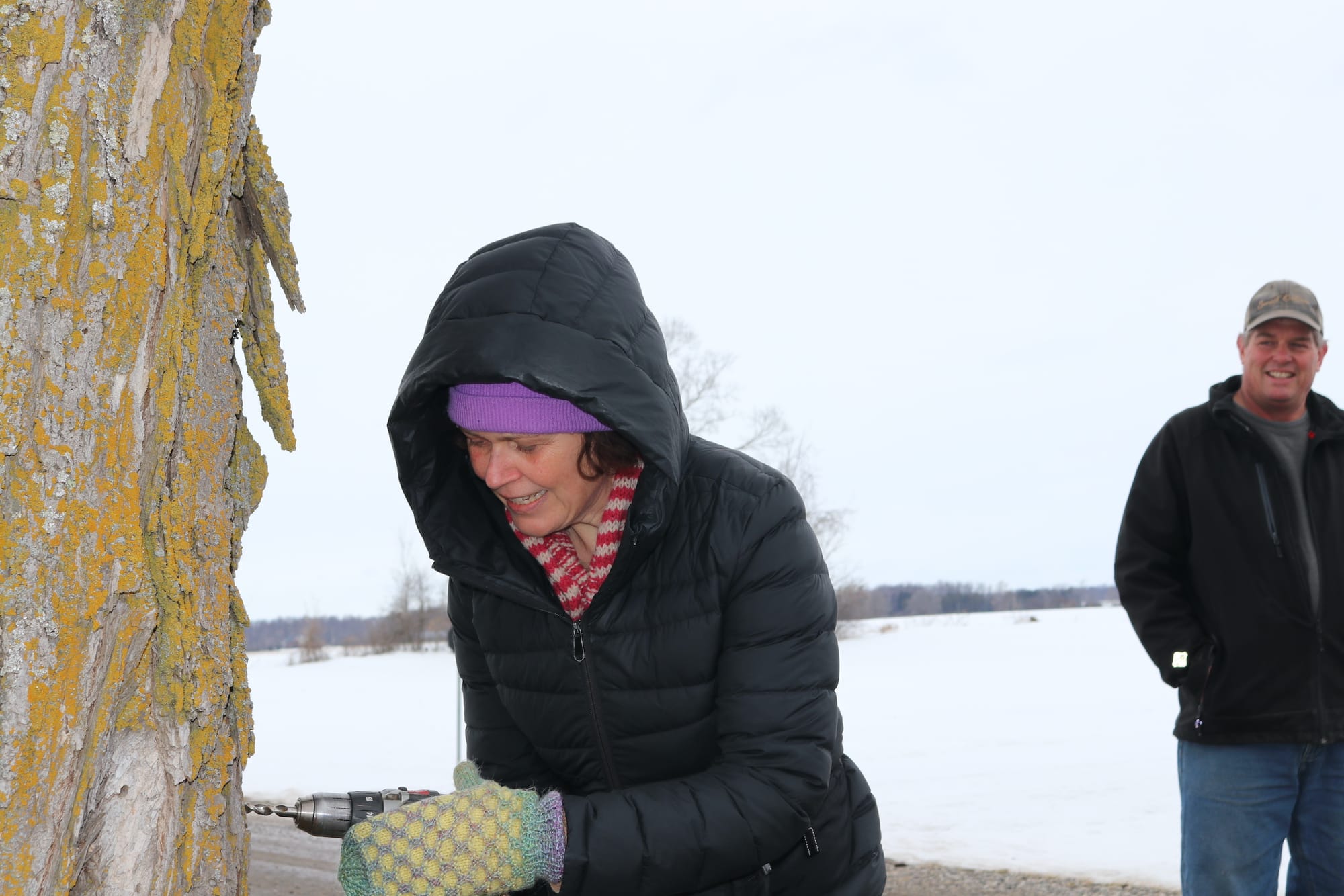 Local maple syrup producers expect ‘good season’