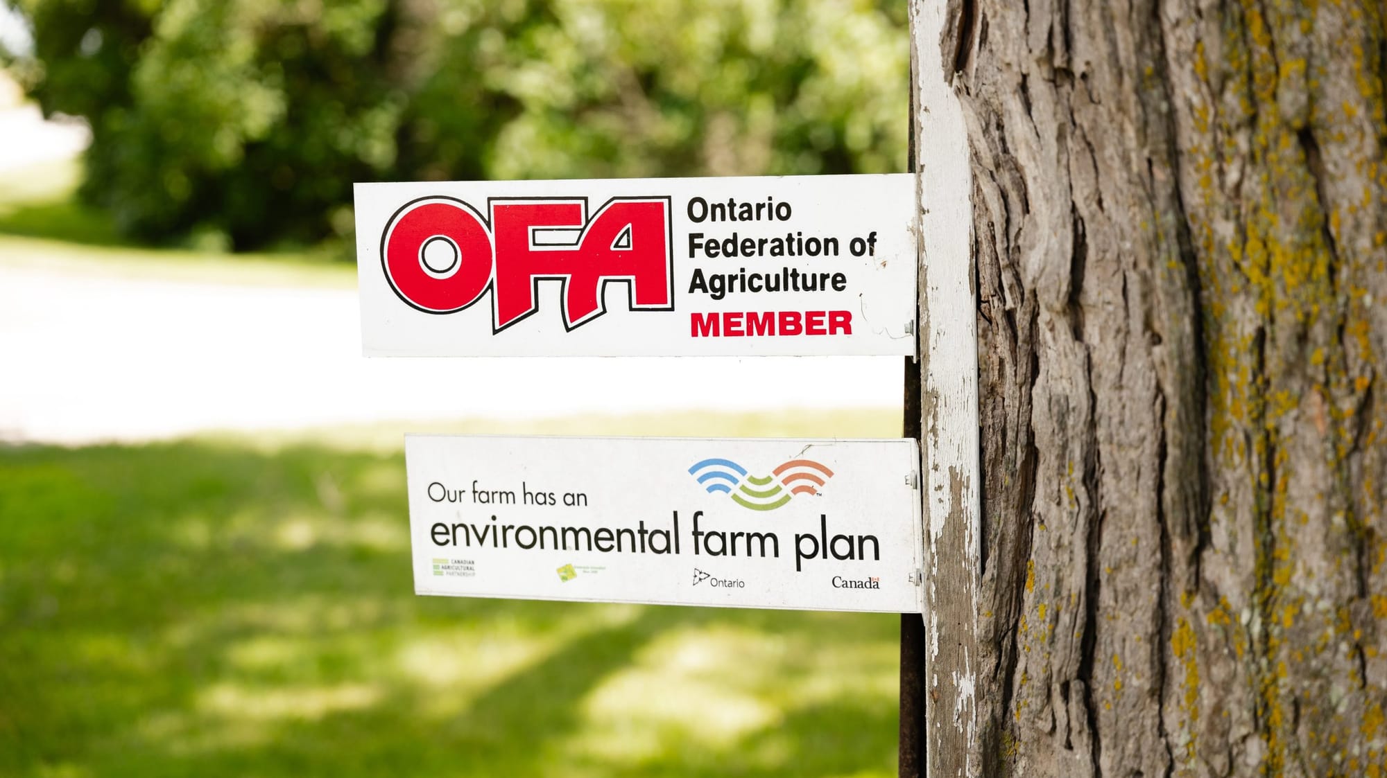 OPINION: how farmers care for the Earth all year long