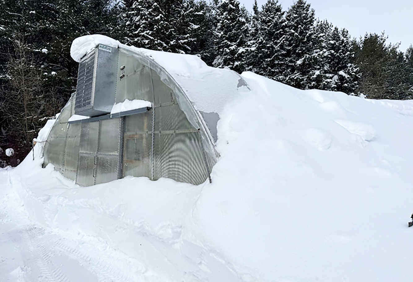 Damaged Green Legacy greenhouse to get $44,000 makeover