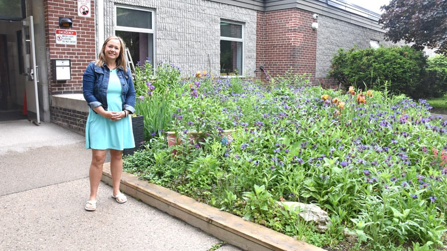 Children learn skills, life lessons in schoolyard gardens