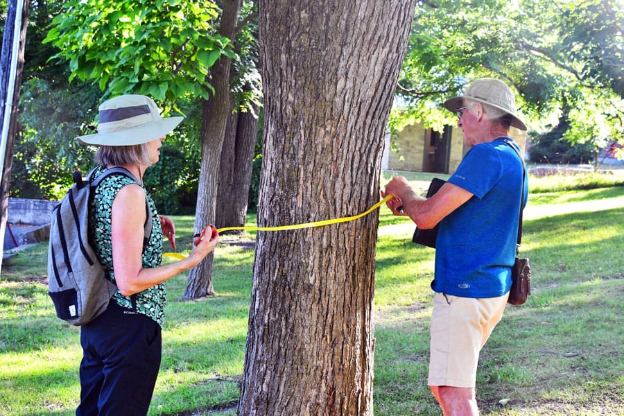 Volunteers record tree growth data in Bissell Park