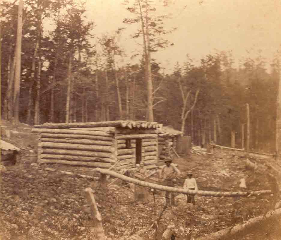 Palmerston native works to archive community’s history