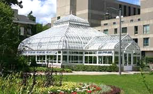 University seeks public input on garden to replace already demolished conservatory