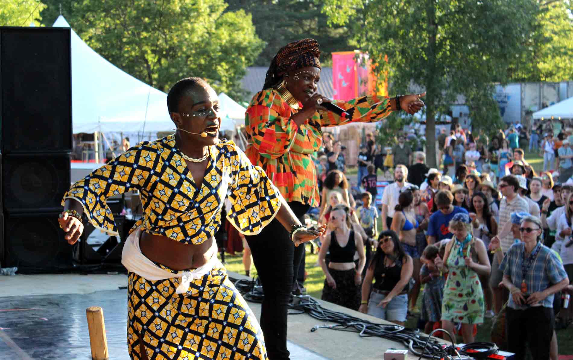 Performers, volunteers, festival goers fill Guelph Lake Island for Hillside