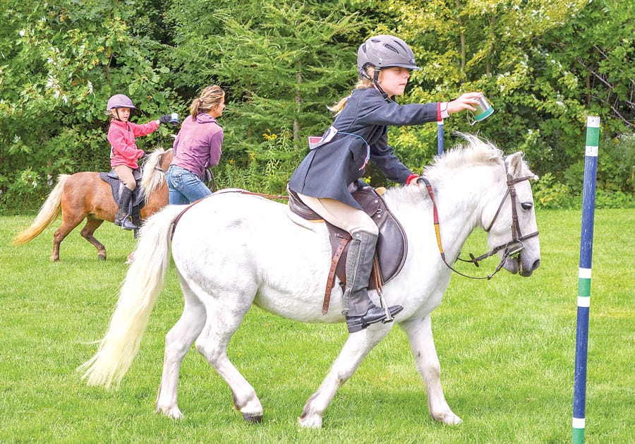 Aberfoyle Fall Fair is ready to rumble