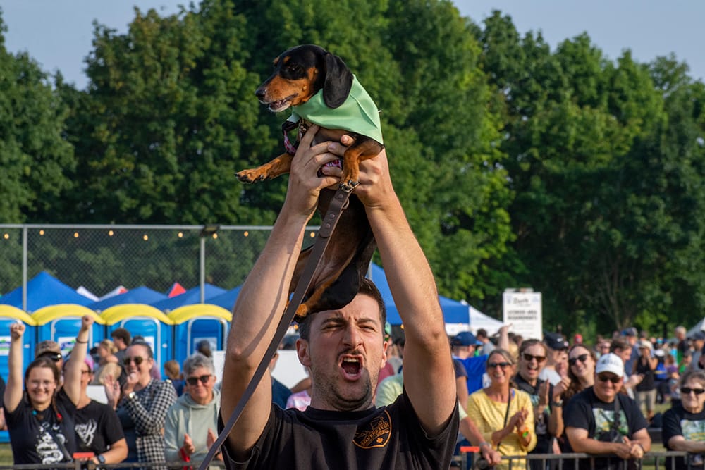 Guelph/Eramosa comes together for a Party in the Park