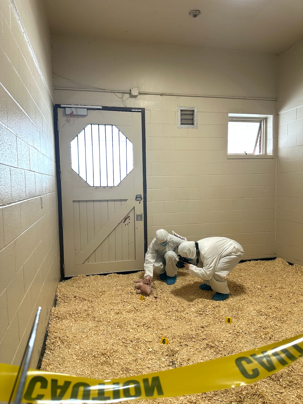 Forensic vet to host webinar, workshop to tackle equine abuse/neglect