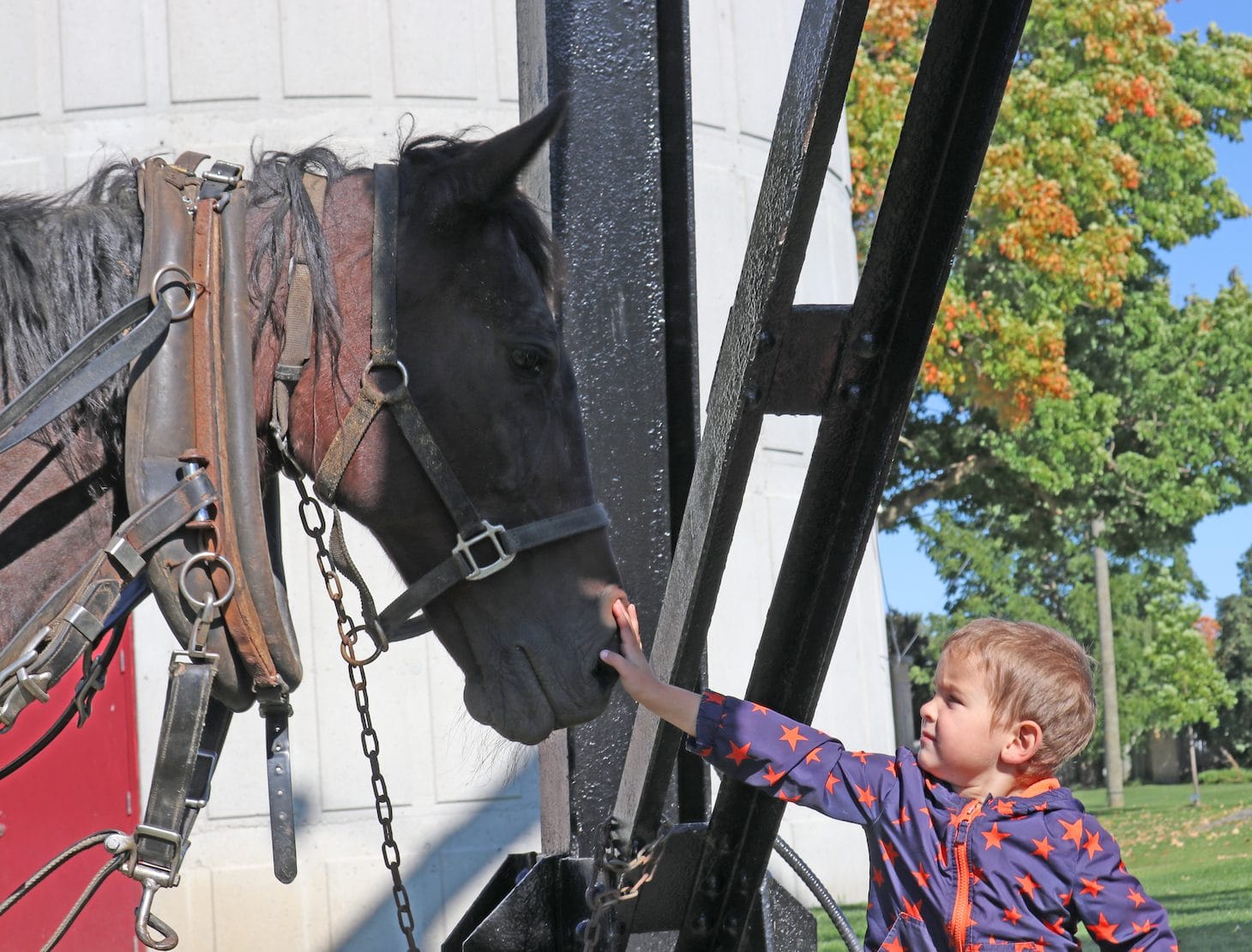Town hosts Minto Fall Fun Day