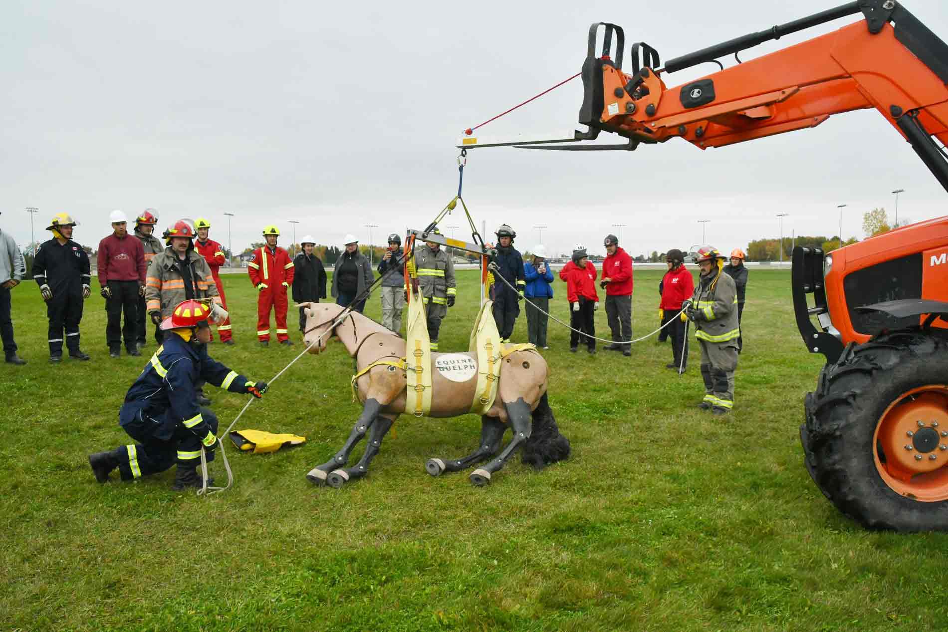 Firefighters learn skills in large-animal rescue