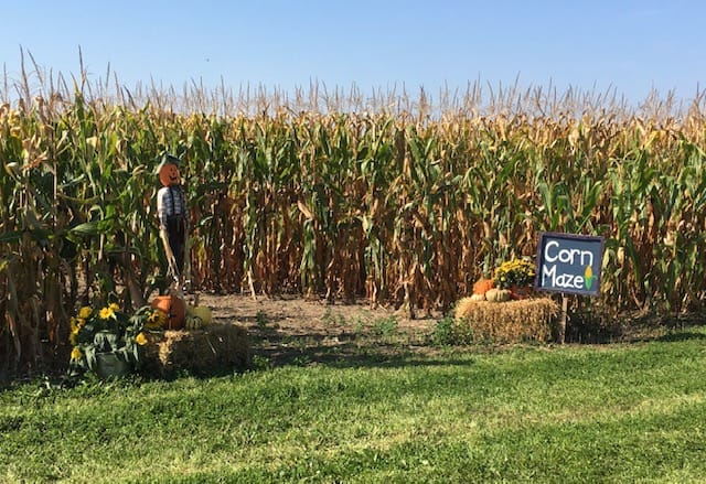 County gets its scare on with Halloween attractions